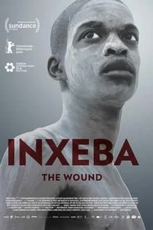 The Wound (2017) [NoSub]