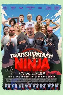 Transilvanian Ninja (2024) [NoSub]