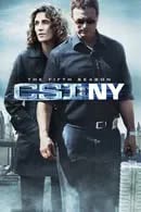 CSI New York Season 5 (2008)