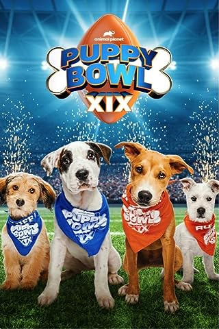 Puppy Bowl XIX (2023)