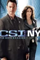 CSI New York Season 6 (2009) หน่วยเฉพาะกิจสืบศพระทึกนิวยอร์ก [พากย์ไทย]