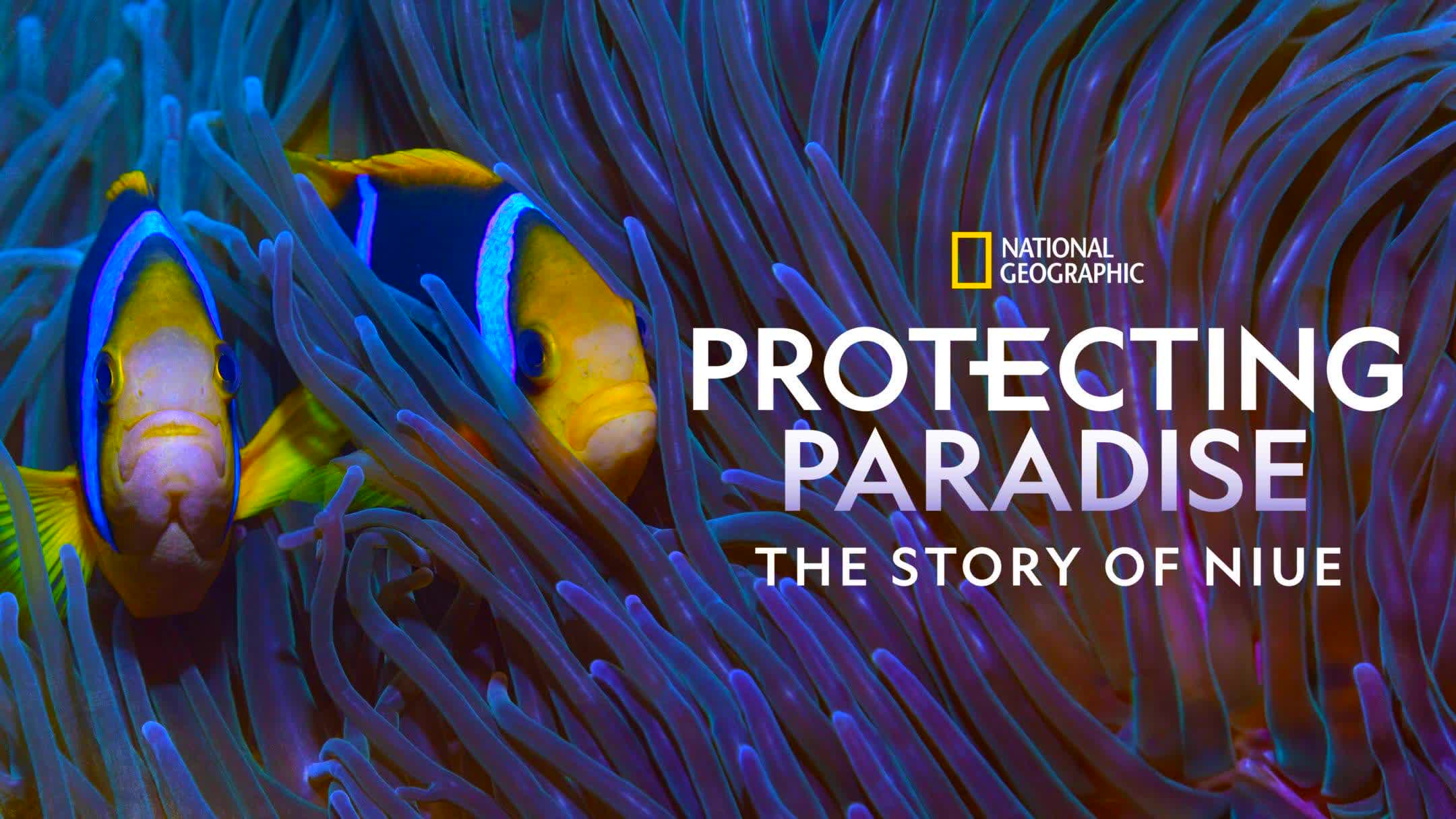 Protecting Paradise The Story of Niue (2024) [NoSub]