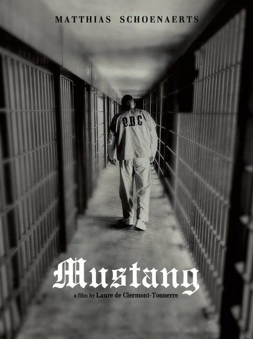 The Mustang (2019)