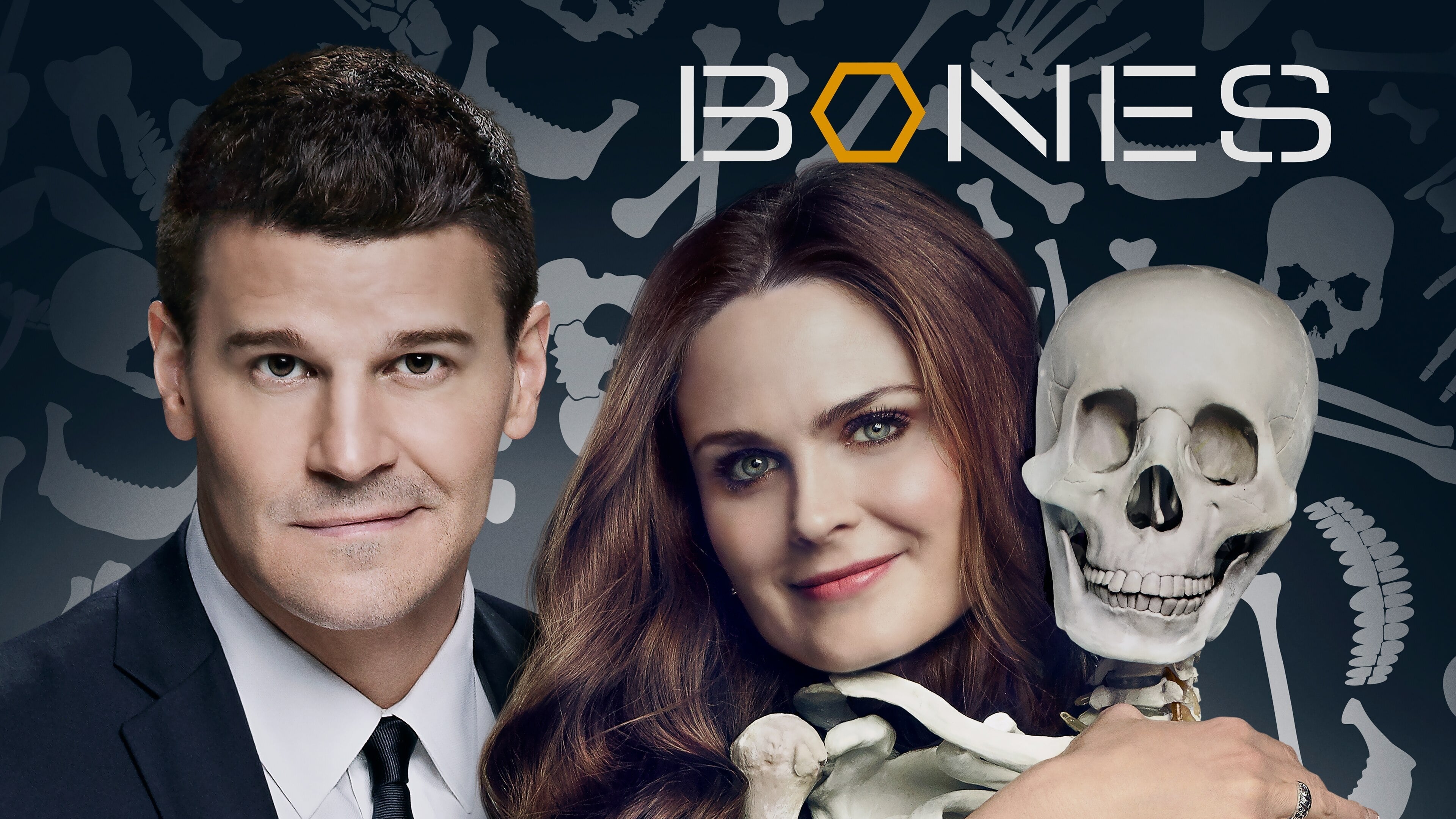 Bones Season 6 (2010) พลิกซากปมมรณะ ปี 6